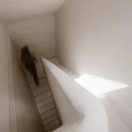 Beige Tranquil Escape By The Sea Lejlighed