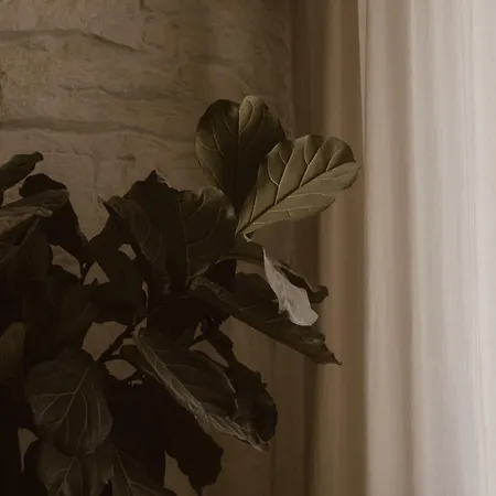 Beige Tranquil Escape By The Sea Lejlighed