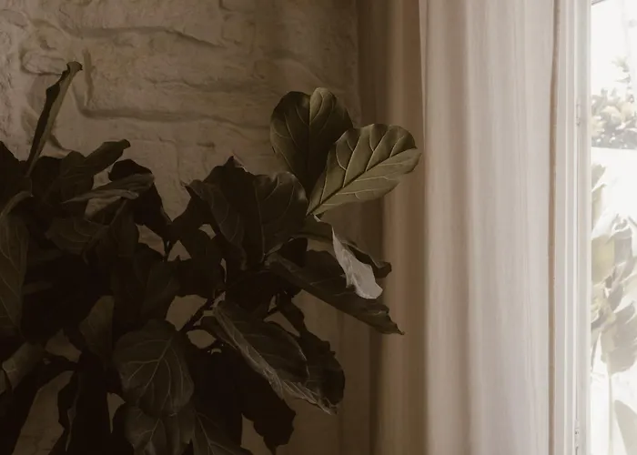 Beige Tranquil Escape By The Sea Apartment